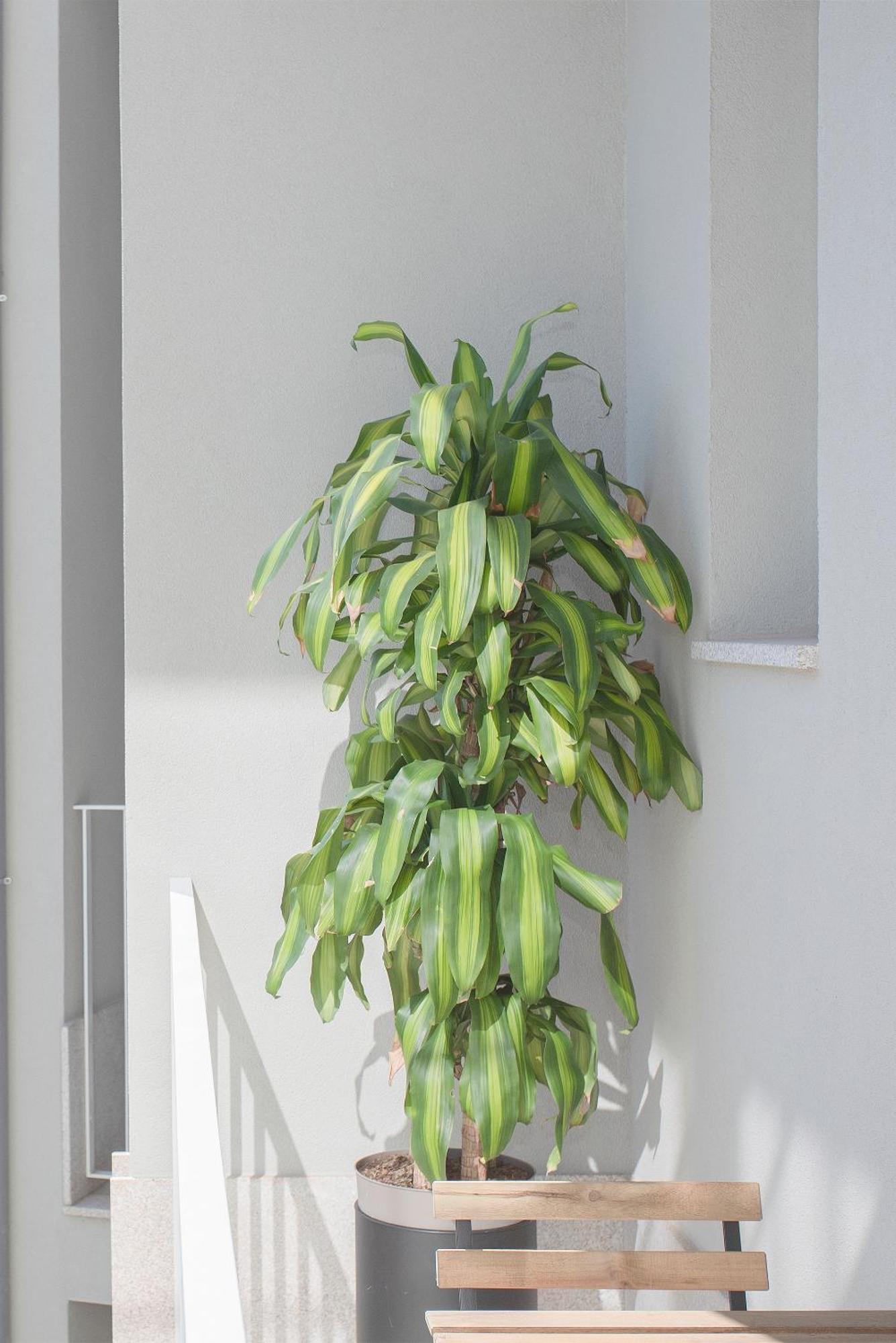 Liiiving In Porto - Art Design Apartment Bagian luar foto